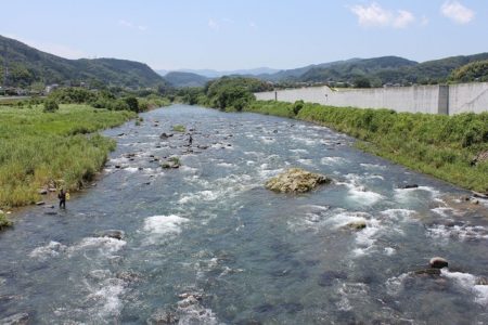 狩野川(狩野川漁業協同組合) 釣果