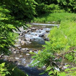 小菅トラウトガーデン 釣果