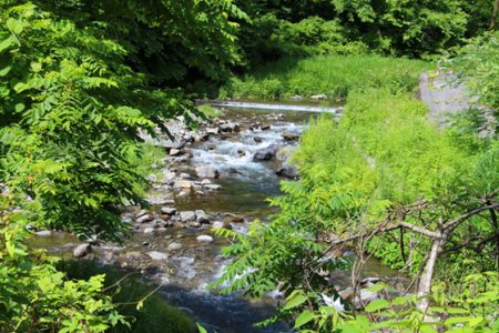 小菅トラウトガーデン 釣果