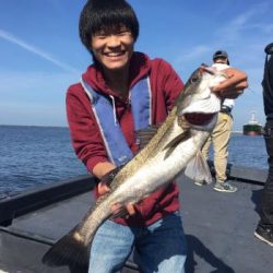 シーマジカル 釣果