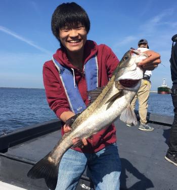 シーマジカル 釣果