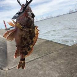 神戸ライトワインド2