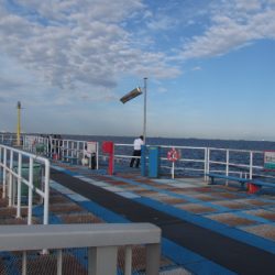 オリジナルメーカー海づり公園(市原市海づり施設) 釣果