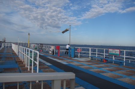 オリジナルメーカー海づり公園(市原市海づり施設) 釣果