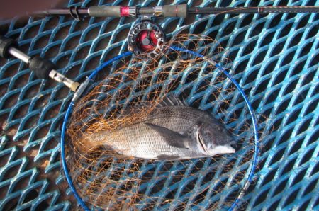 オリジナルメーカー海づり公園(市原市海づり…