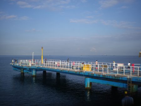 オリジナルメーカー海づり公園(市原市海づり施設) 釣果