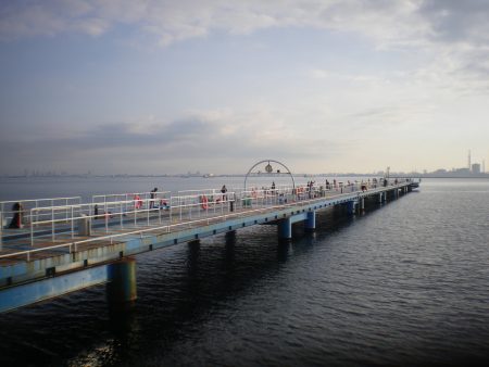 オリジナルメーカー海づり公園(市原市海づり施設) 釣果