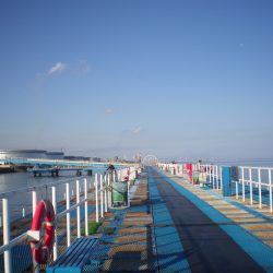 オリジナルメーカー海づり公園(市原市海づり施設) 釣果