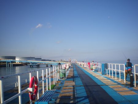 オリジナルメーカー海づり公園(市原市海づり施設) 釣果