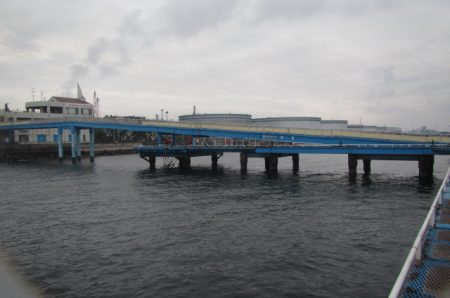 オリジナルメーカー海づり公園(市原市海づり施設) 釣果