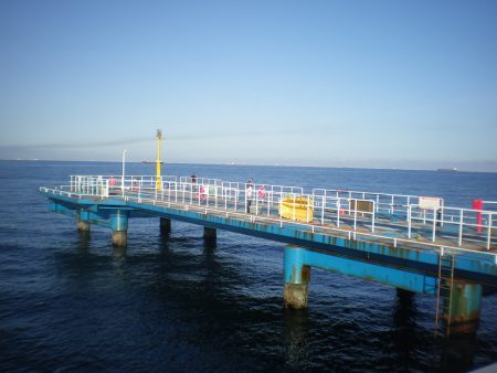 オリジナルメーカー海づり公園(市原市海づり施設) 釣果