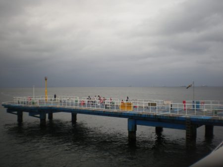 オリジナルメーカー海づり公園(市原市海づり施設) 釣果