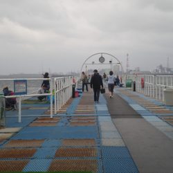 オリジナルメーカー海づり公園(市原市海づり施設) 釣果