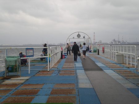 オリジナルメーカー海づり公園(市原市海づり施設) 釣果