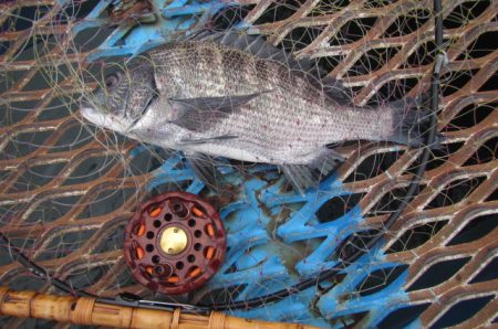 オリジナルメーカー海づり公園(市原市海づり…