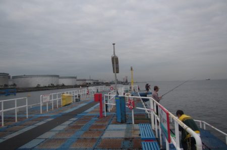 オリジナルメーカー海づり公園(市原市海づり施設) 釣果