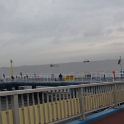 オリジナルメーカー海づり公園(市原市海づり施設) 釣果