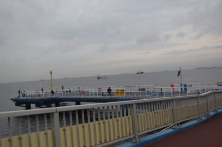 オリジナルメーカー海づり公園(市原市海づり施設) 釣果