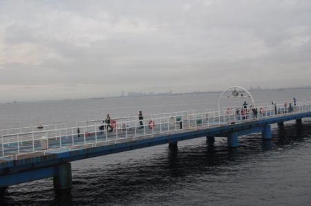 オリジナルメーカー海づり公園(市原市海づり施設) 釣果