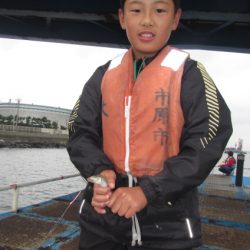 オリジナルメーカー海づり公園(市原市海づり施設) 釣果