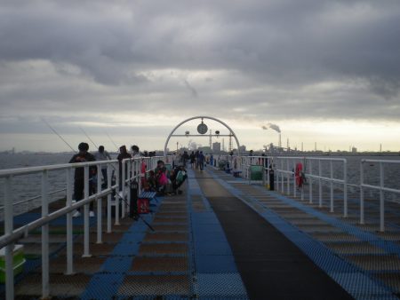 オリジナルメーカー海づり公園(市原市海づり施設) 釣果