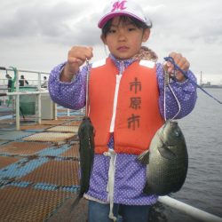 オリジナルメーカー海づり公園(市原市海づり施設) 釣果