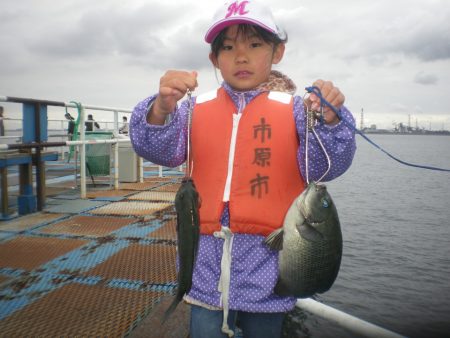 オリジナルメーカー海づり公園(市原市海づり施設) 釣果