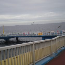 オリジナルメーカー海づり公園(市原市海づり施設) 釣果