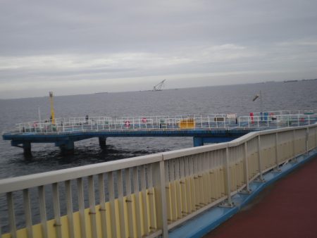 オリジナルメーカー海づり公園(市原市海づり施設) 釣果