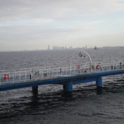 オリジナルメーカー海づり公園(市原市海づり施設) 釣果