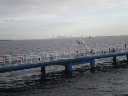 オリジナルメーカー海づり公園(市原市海づり施設) 釣果