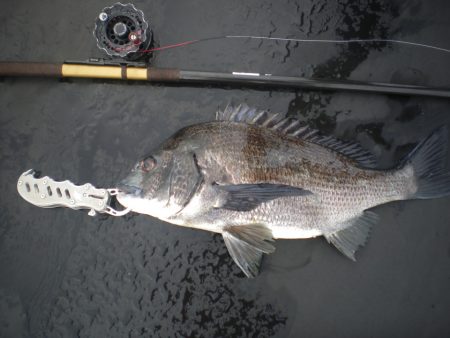 オリジナルメーカー海づり公園(市原市海づり…