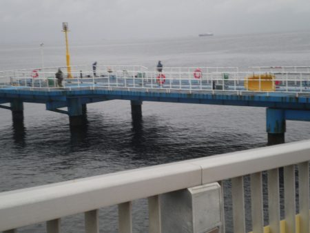 オリジナルメーカー海づり公園(市原市海づり施設) 釣果