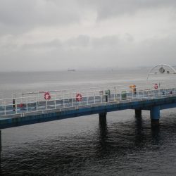 オリジナルメーカー海づり公園(市原市海づり施設) 釣果