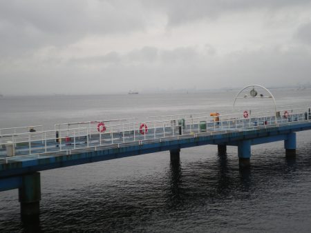 オリジナルメーカー海づり公園(市原市海づり施設) 釣果
