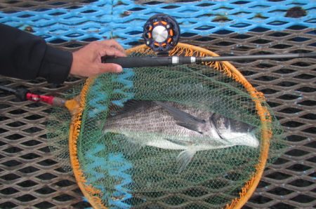 オリジナルメーカー海づり公園(市原市海づり…