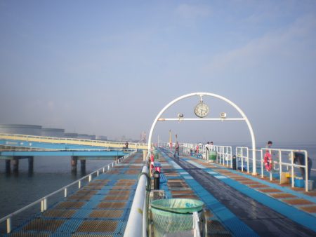 オリジナルメーカー海づり公園(市原市海づり施設) 釣果