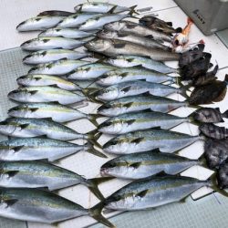 ふじしめ丸 釣果