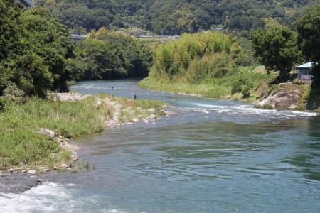 狩野川(狩野川漁業協同組合) 釣果