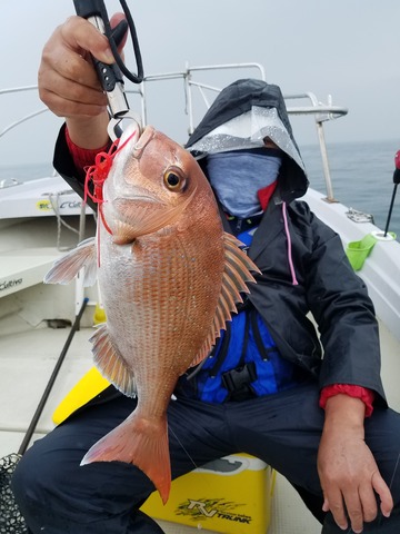 遊漁船　ニライカナイ 釣果