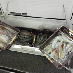 第二大福丸 釣果