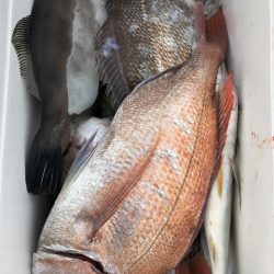 第二辰丸 釣果