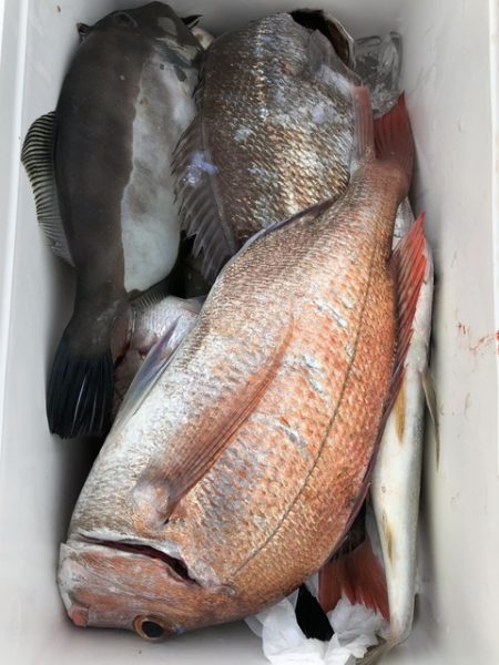 第二辰丸 釣果