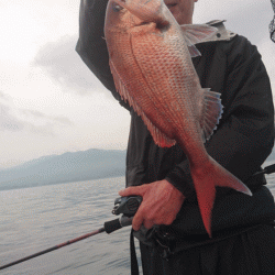 遊漁船ブルーウッズ 釣果