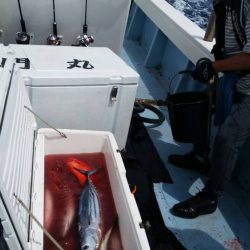 第五慶門丸 釣果