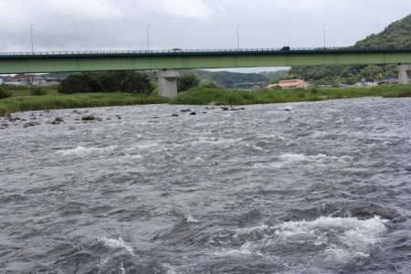 狩野川（狩野川漁業協同組合） 釣果