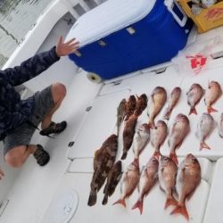 暁〜akatsuki〜 釣果