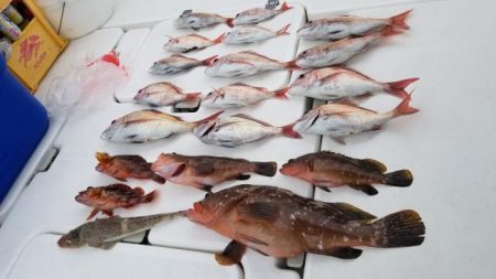 暁〜akatsuki〜 釣果