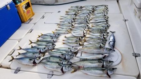 暁〜akatsuki〜 釣果