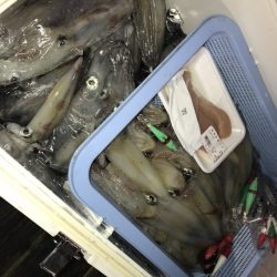 寿裕 （YOSHIHIRO） 釣果